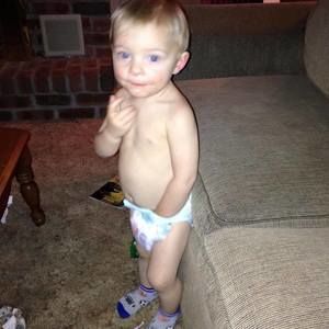 Meet your Posher, Shane